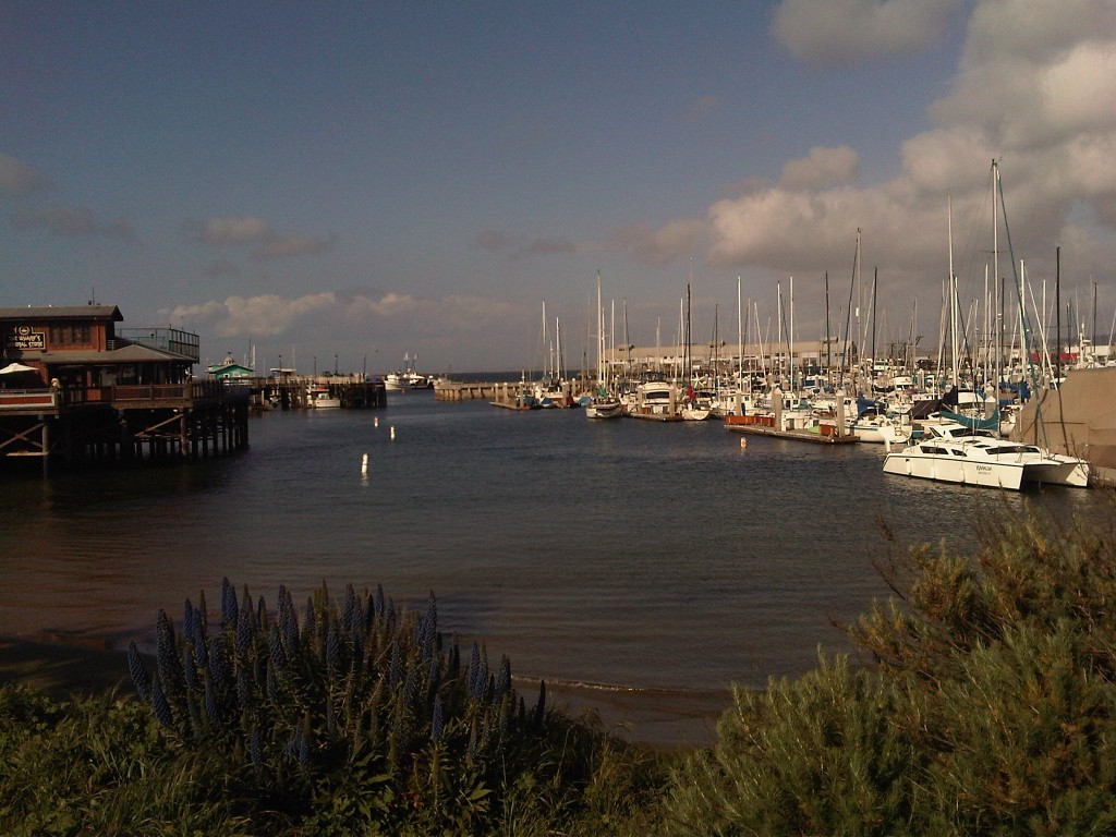 IMG00212-20110409-1701